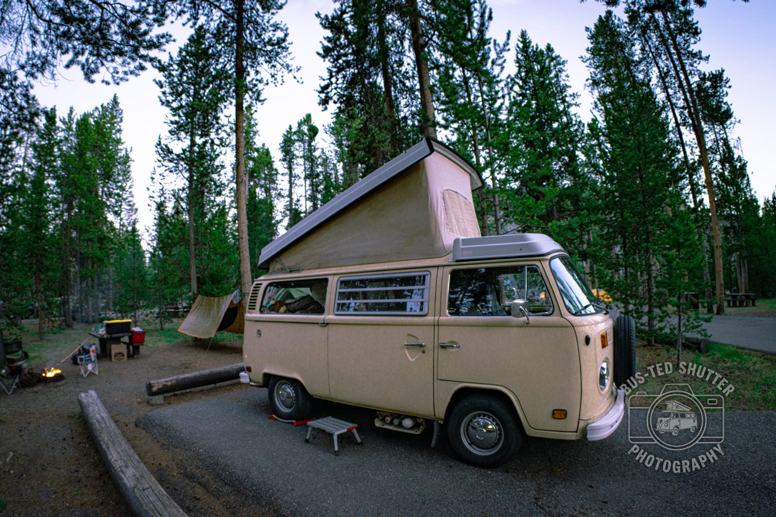 Vintage Volkswagen camper van parked at a forest campsite